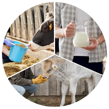 Agri%20Farming