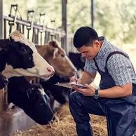 Agri%20Farming
